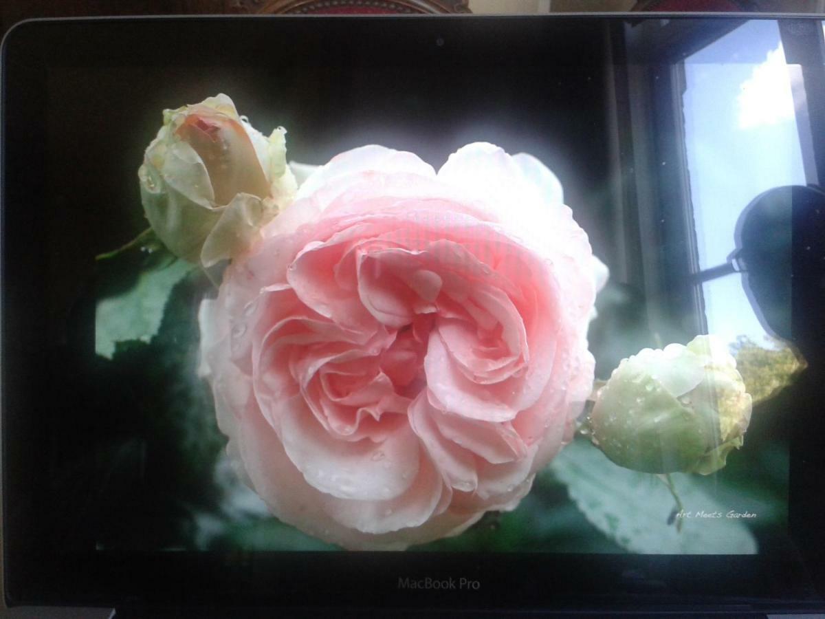 La Villa Des Roses Durbuy Exteriör bild