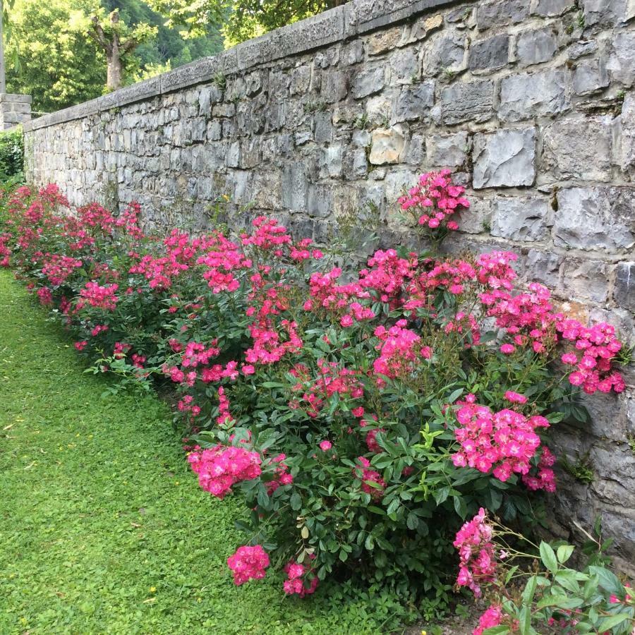 La Villa Des Roses Durbuy Exteriör bild